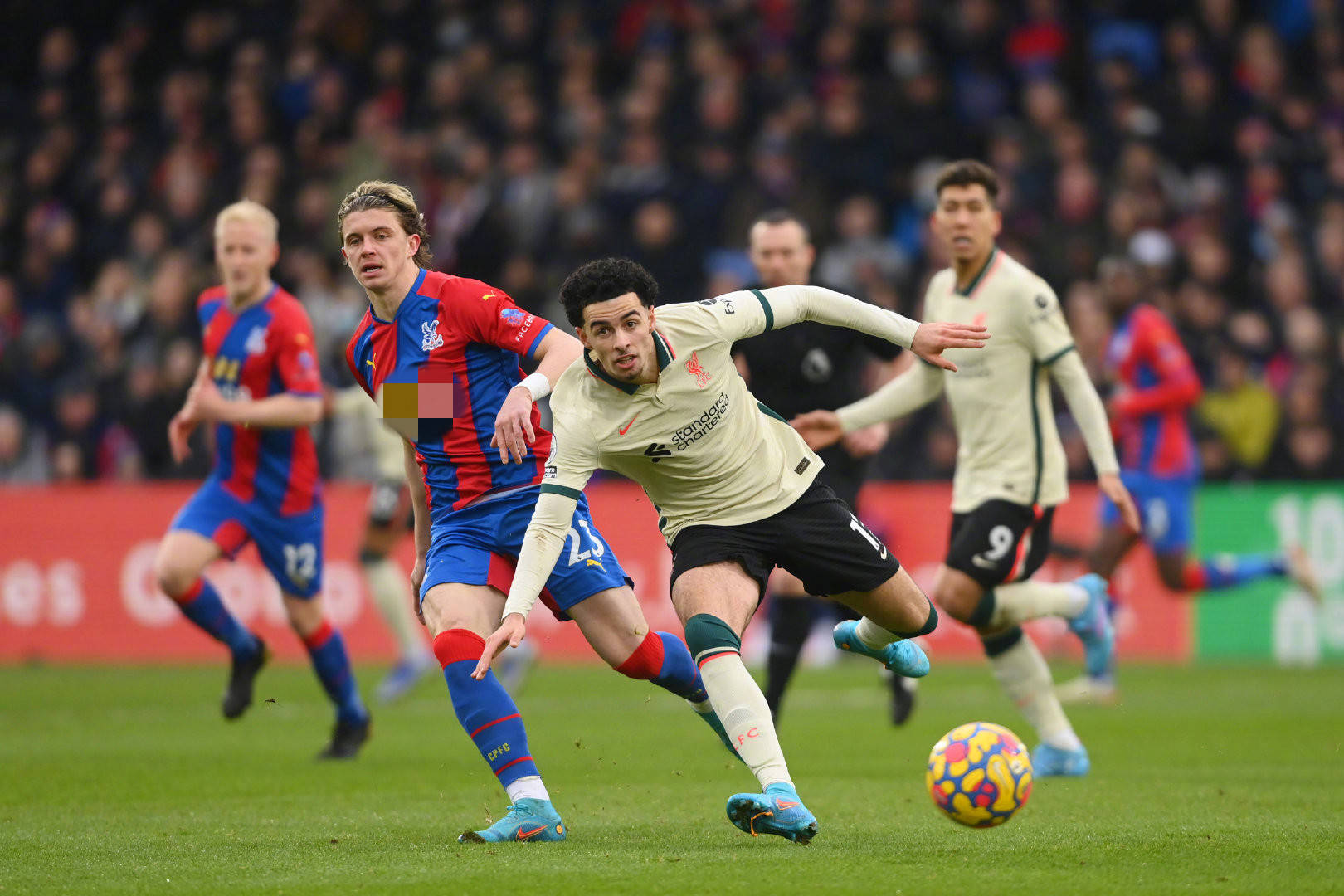 华南北部 华南北部